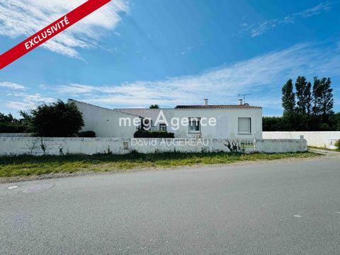 photo no. 10