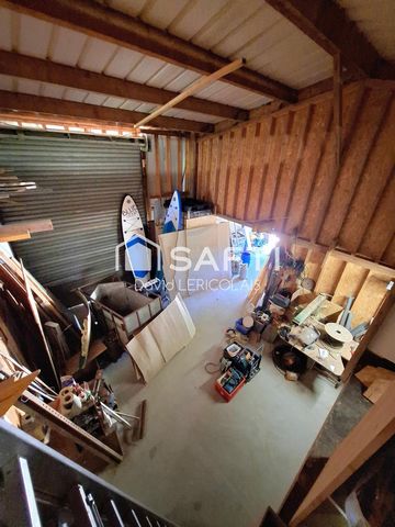 photo no. 11