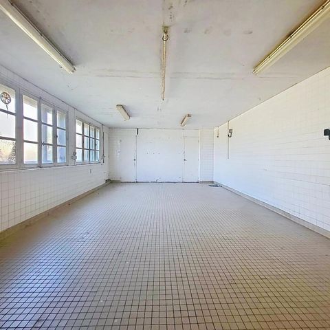 photo no. 8