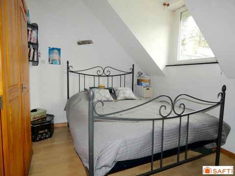 photo no. 11