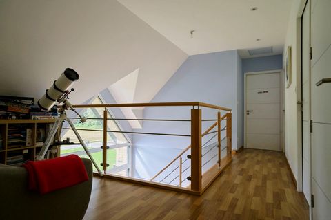 photo no. 8