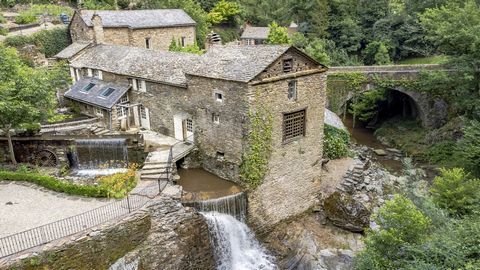 Moulin à eau en fonction avec 2 ha de nature - Tarn