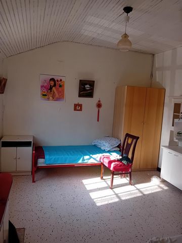 photo no. 6