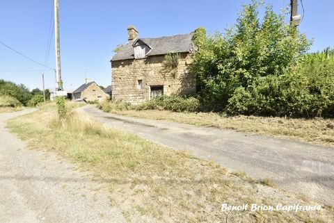 photo no. 2