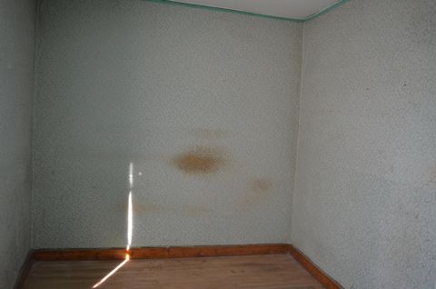 photo no. 5