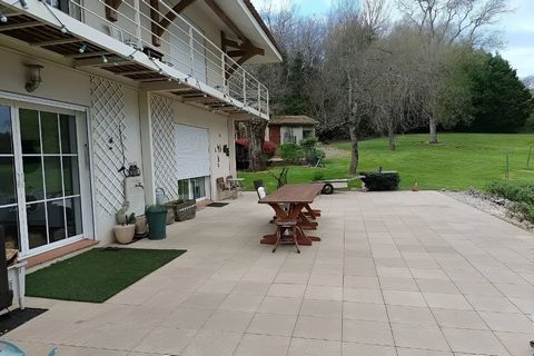 photo no. 6
