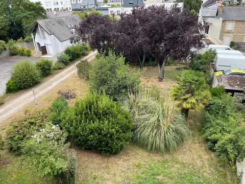 photo no. 11