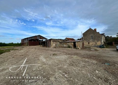 photo no. 11