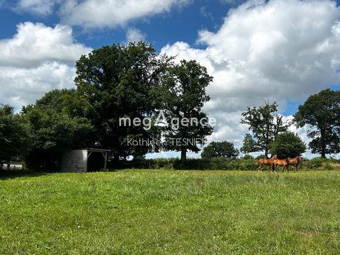 photo no. 14