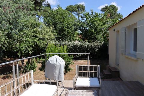 photo no. 1