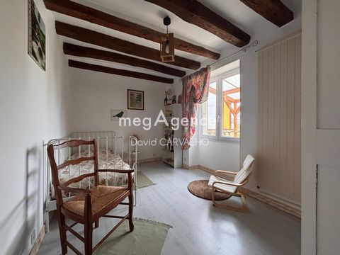 photo no. 11