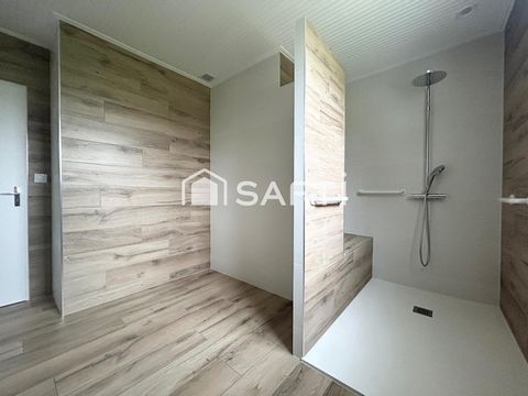 photo no. 9