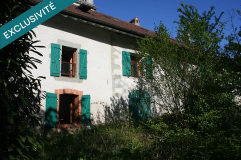 photo no. 10