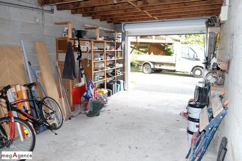 photo no. 14