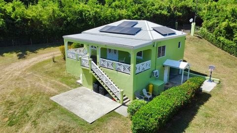 Welkom in de Hof van Eden - een sereen stukje paradijs in St. Croix. Ontdek echte rust op dit prachtige landgoed van 2,07 hectare. Weggestopt in de koele, rustige en vredige omgeving van ons beroemde regenwoud, is dit pand een zeldzaam juweeltje dat ...