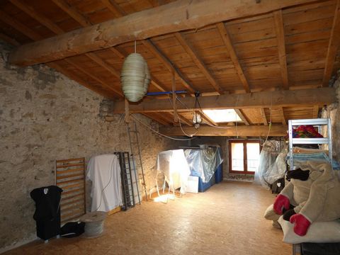photo no. 19