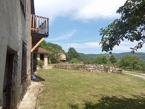 photo no. 12