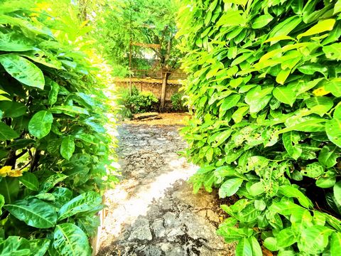photo no. 25