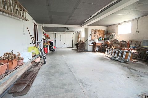 photo no. 10