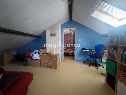 photo no. 11