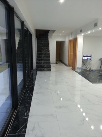 photo no. 16