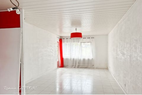 photo no. 2