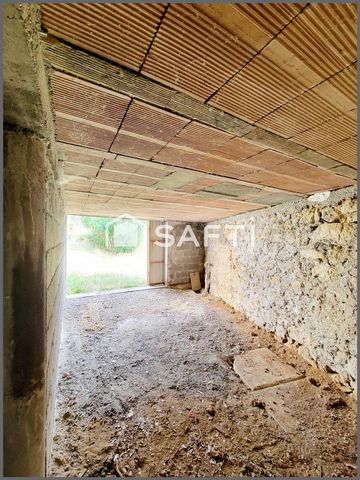 photo no. 15