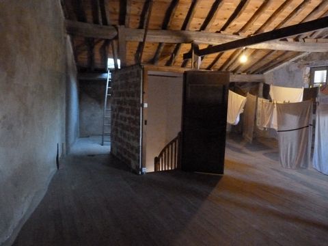 photo no. 7