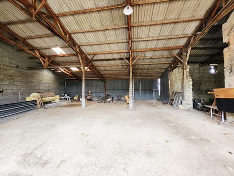 photo no. 3