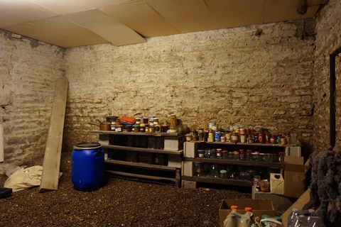 photo no. 11