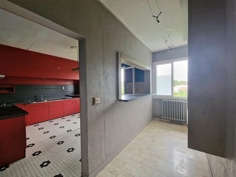 photo no. 7