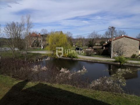 photo no. 13