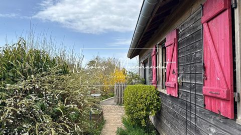 photo no. 16