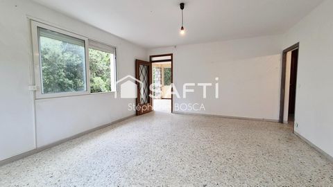 photo no. 14