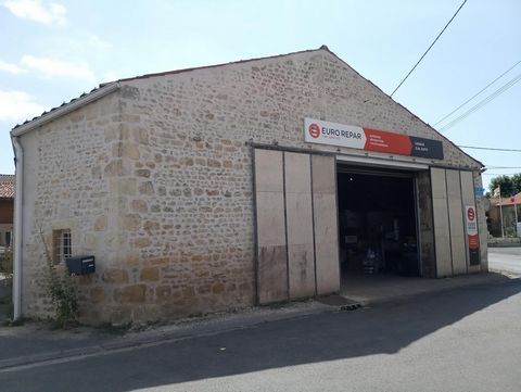 photo no. 1