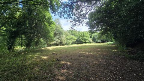 photo no. 15