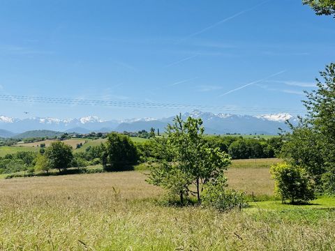 photo no. 2