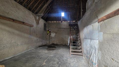 photo no. 7