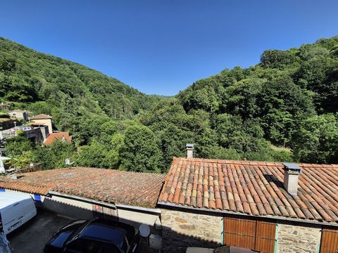 photo no. 11