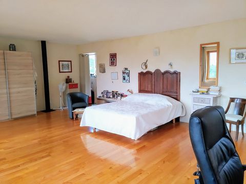photo no. 19