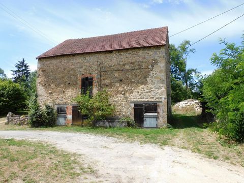photo no. 13