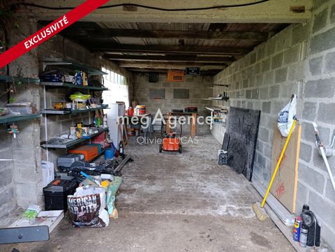 photo no. 10