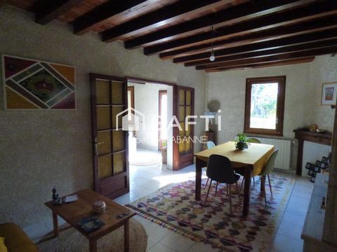 photo no. 4