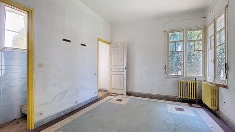 photo no. 6