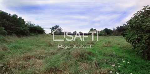 photo no. 1