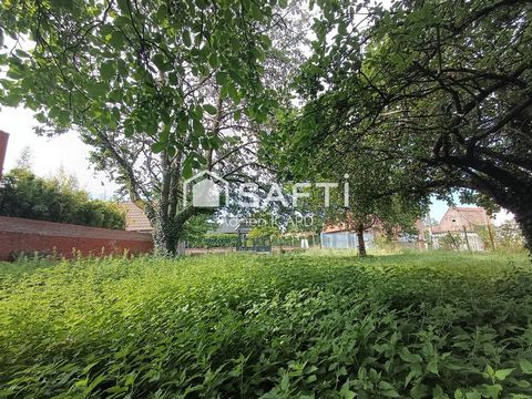 photo no. 2