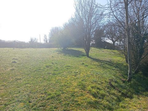 photo no. 1