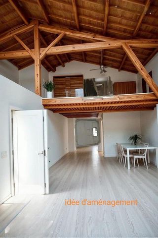 photo no. 7