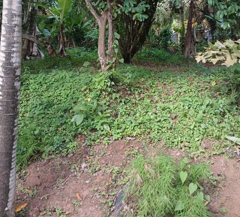 photo no. 1
