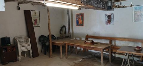 photo no. 11